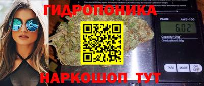 амф Обнинск