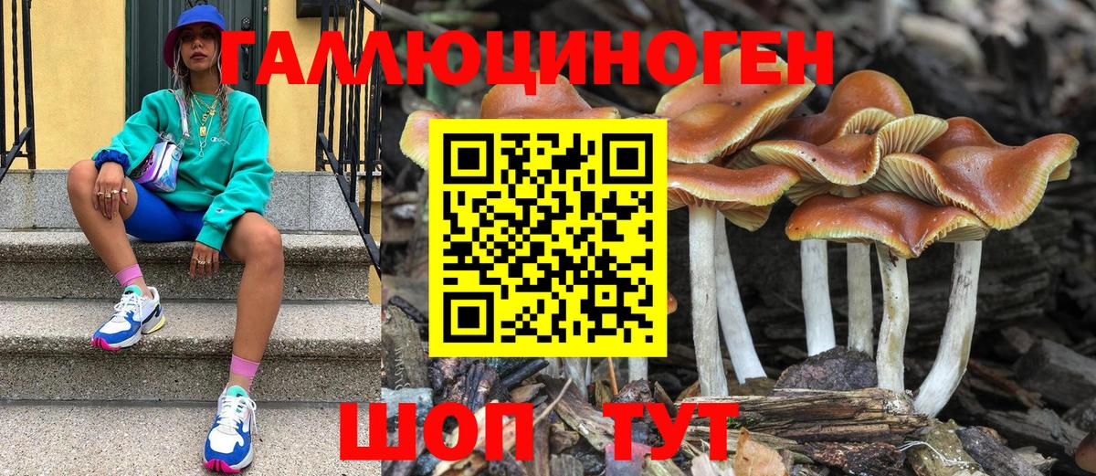Псилоцибиновые грибы Psilocybe  Галлюциногенные грибы Magic Shrooms  Вход с VPN  Семёнов 