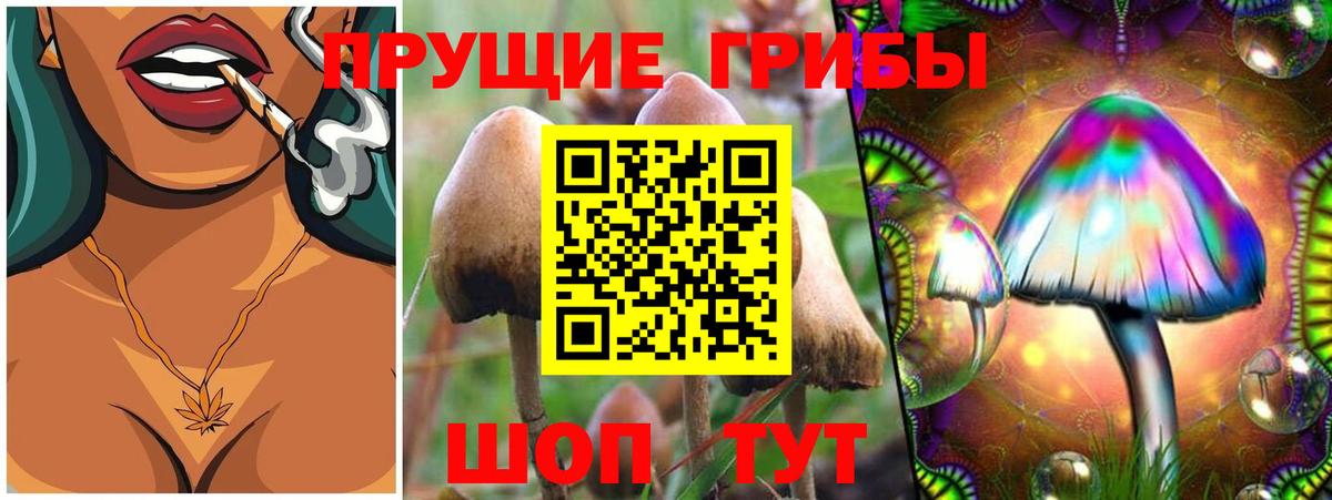 Галлюциногенные грибы мицелий Семёнов